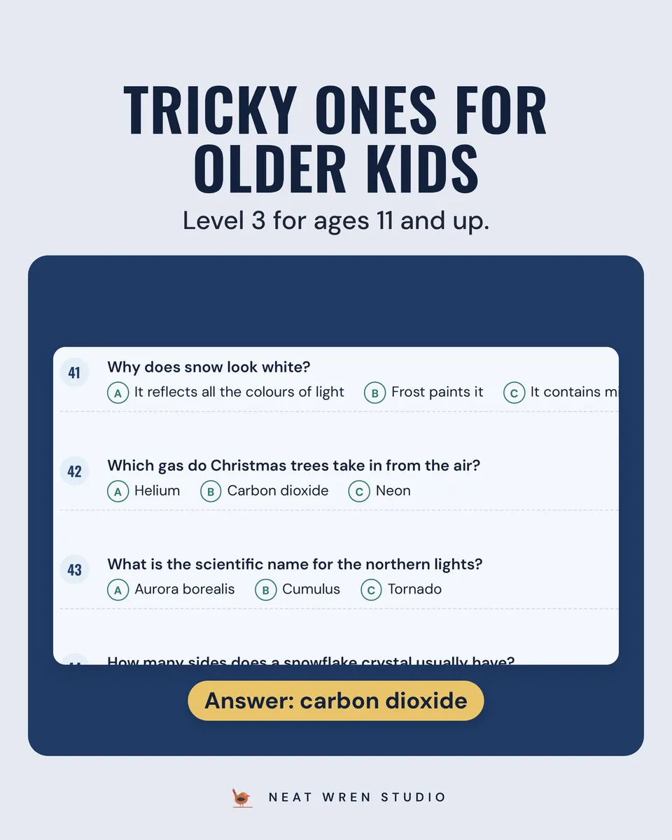 Christmas Trivia for Kids: older kids